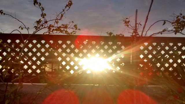 Runzelfuesschen Elternblog Langstrecke mit Baby Fliegen mit Baby Fliegen mit Kleinkind Runzelfuesschen Elternblog Langstrecke mit Baby Fliegen mit Baby Fliegen mit Kleinkind