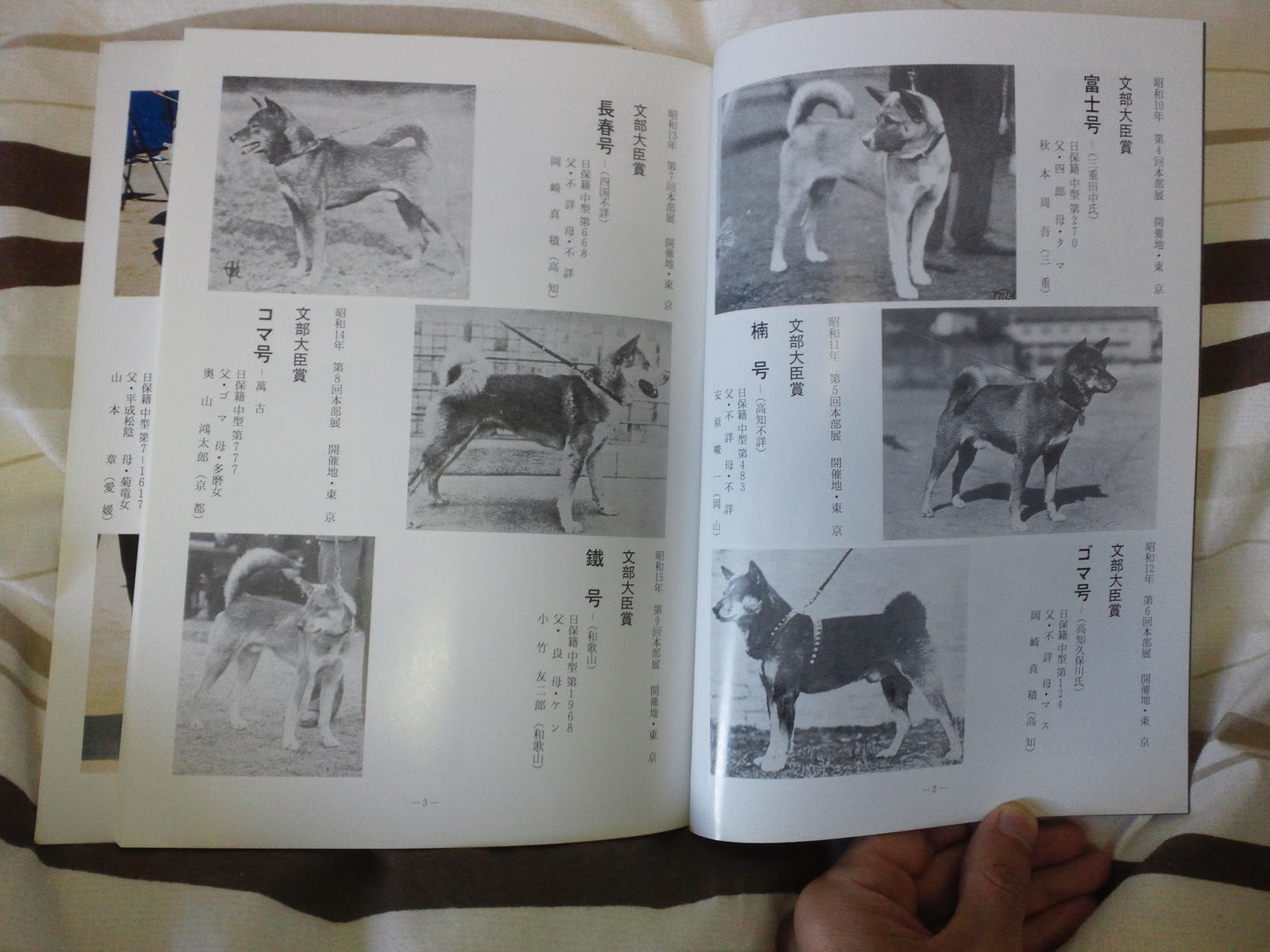 The Nihon Ken Nippo 70th Anniversary Picture Book Reblog2