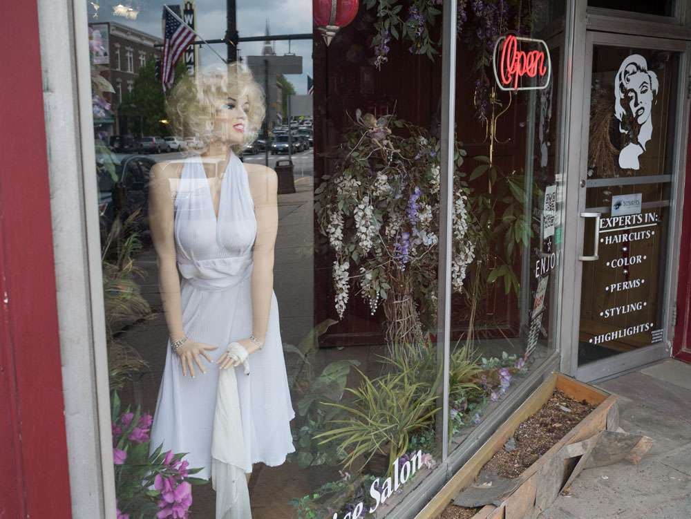 Working Pictures Salon