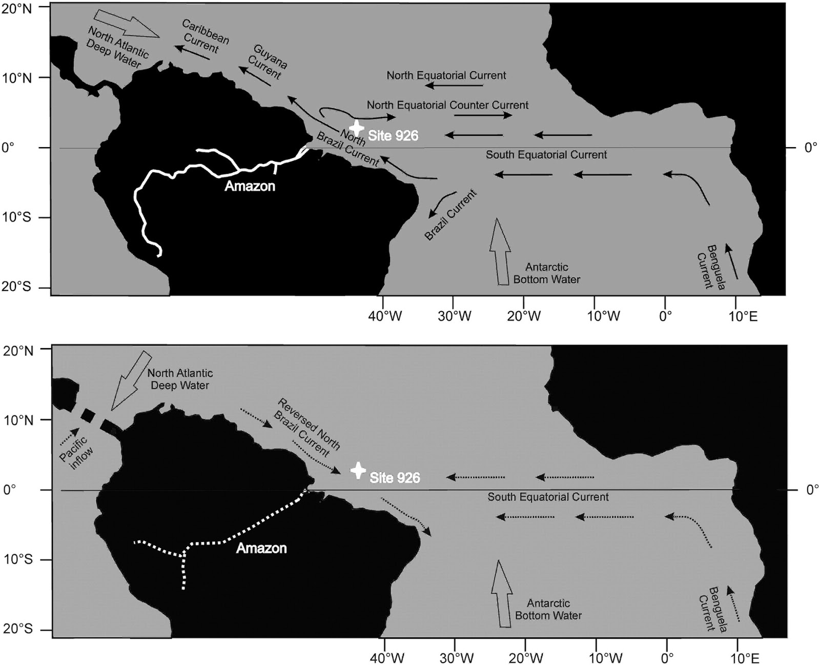 The Dragon's Tales The Influence of the Amazon River on the Miocene