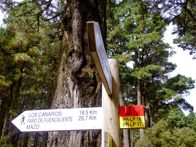 Ruta de los Volcanes de La Palma