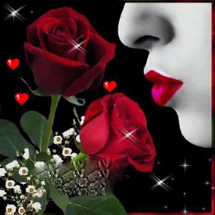 Stylish Romantic Red Rose Flowers Images Wallpapers Gift for Lovers Stylish Romantic Red Rose Flowers Images Wallpapers Gift for Lovers