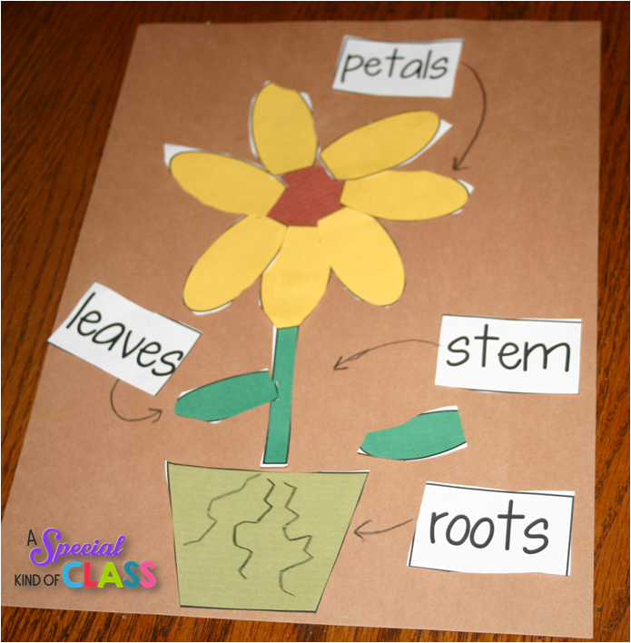 A special kind of class Plant Labeling