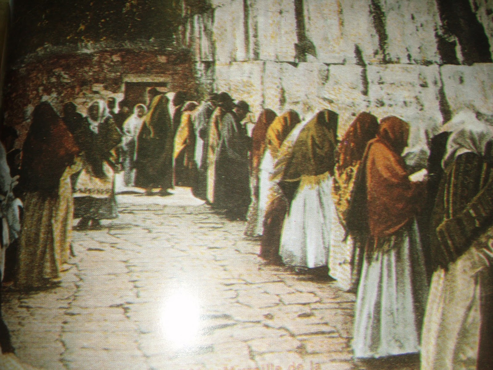 Jerusalem Wildflowers, Herbs & Trees, Israel THE WESTERN WALL OF THE