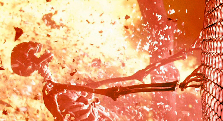 Ausstellung Page 17 Pirckheimer Gesellschaft