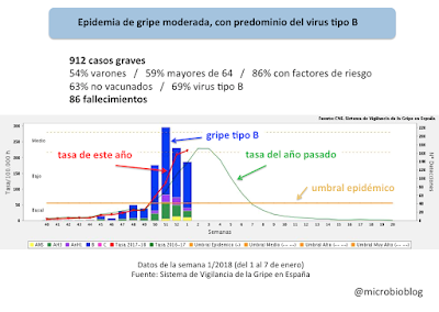 virus de la gripe tipo b