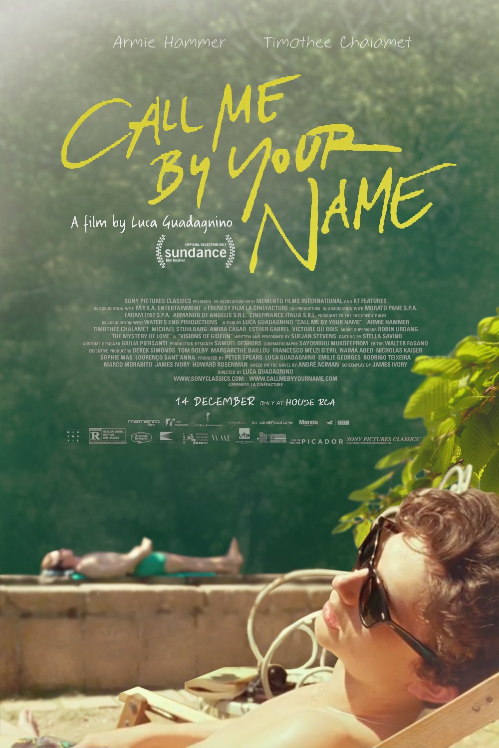in-theaters-call-me-by-your-name