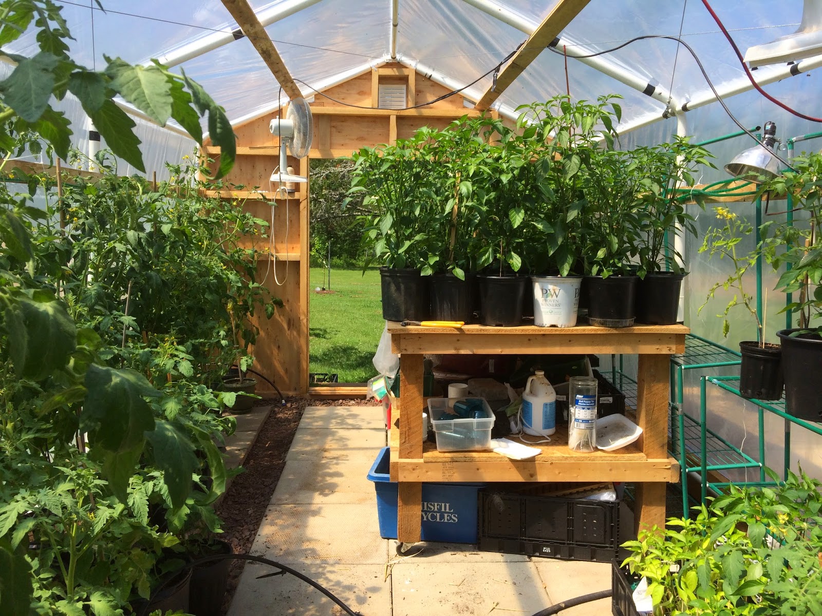 Fran's Gardening & Farming Adventures The DIY 10x20 Metal Car Port