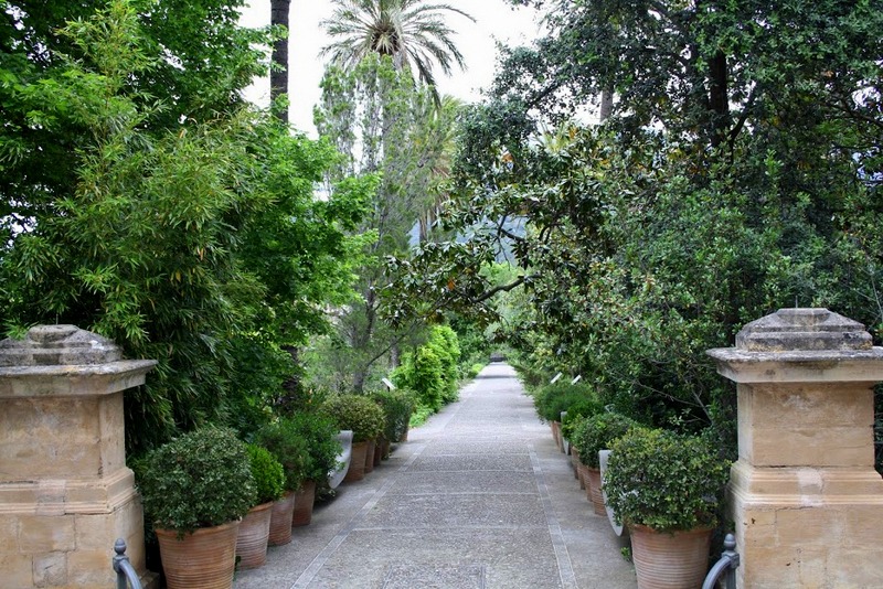 http://www.elblogdelatabla.com/2016/06/jardin-botanico-soller-mallorca.html
