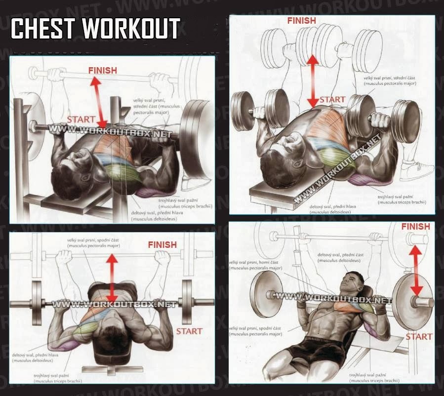 Chest workouts for mass Fitness inspiration