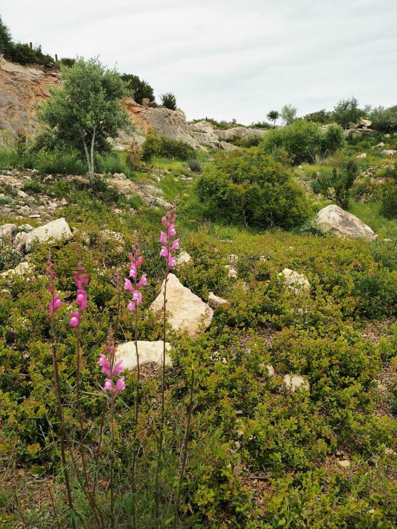 Cantera Romana el Médol el blog de Ana H