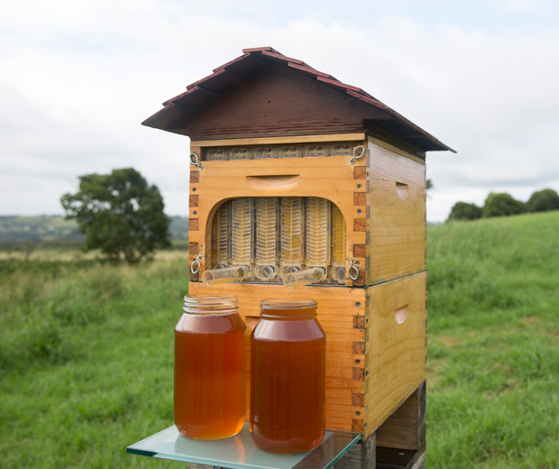 Flow Hive: Beehive Honey Tap