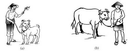 Hukum 1 Newton Bunyi Rumus Contoh Penerapan Soal Dan