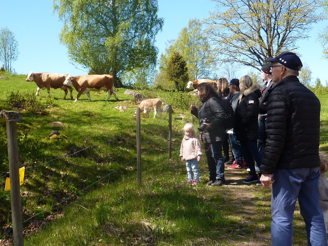 Astrid Lindgrens värld. osa 7. Bullerby