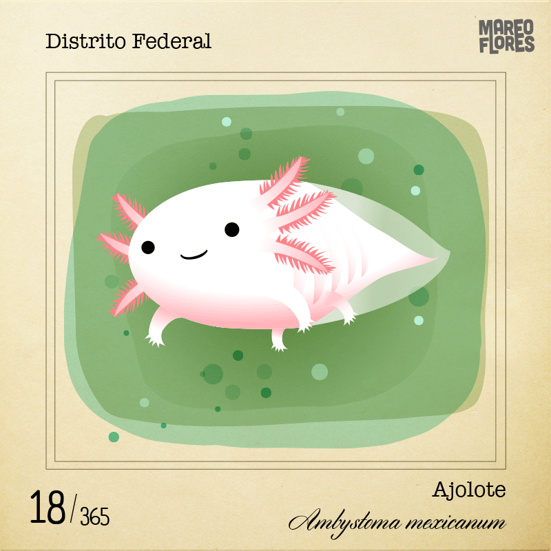 Freya's Based Takes Random post about axolotls + the possibility of