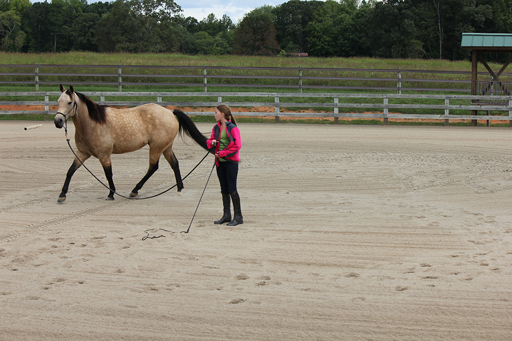 Just Horses Stationary Lunge, Mobile Lunge