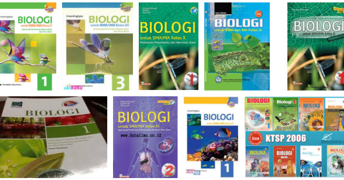 Buku Paket Sosiologi Kelas 10, 11, 12 Kurikulum 2013 KTSP