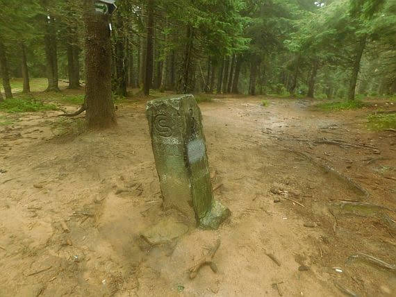 Słupki graniczne z okresu międzywojennego.