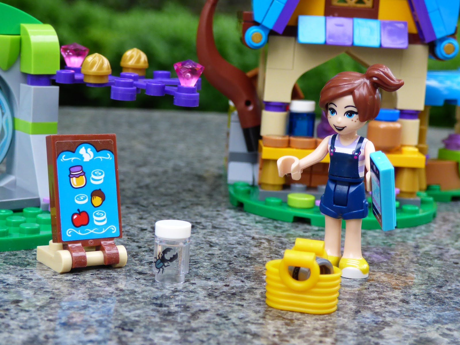 lego elves capture of sophie jones