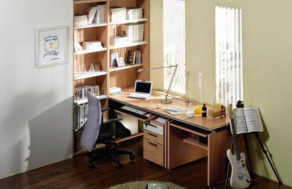 Bookshelves for study
