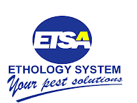 Lowongan Kerja Account Executive di PT Etos Suryanusa - Semarang Lowongan Kerja Account Executive di PT Etos Suryanusa - Semarang
