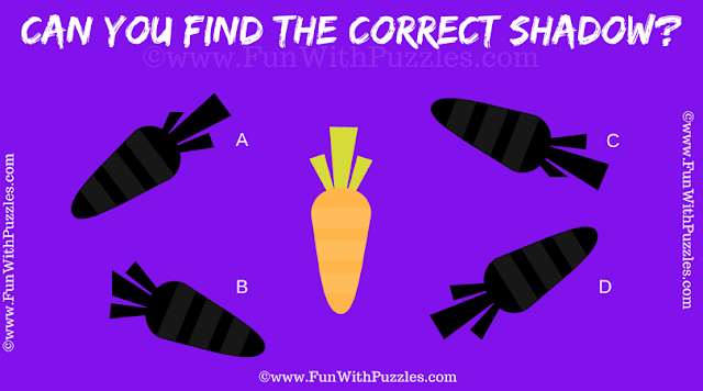 Easy Picture Shadow Riddle | Kids Fun Visual Brain Teaser
