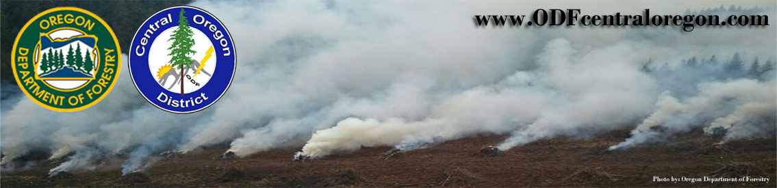 Oregon Department of Forestry - Fossil Burn Permits