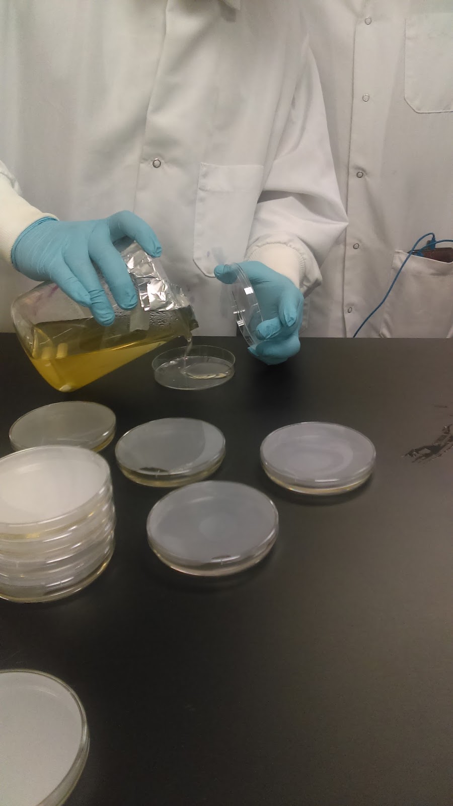 Wastewater Microbiology EES 4102C Media Preparation and Autoclave