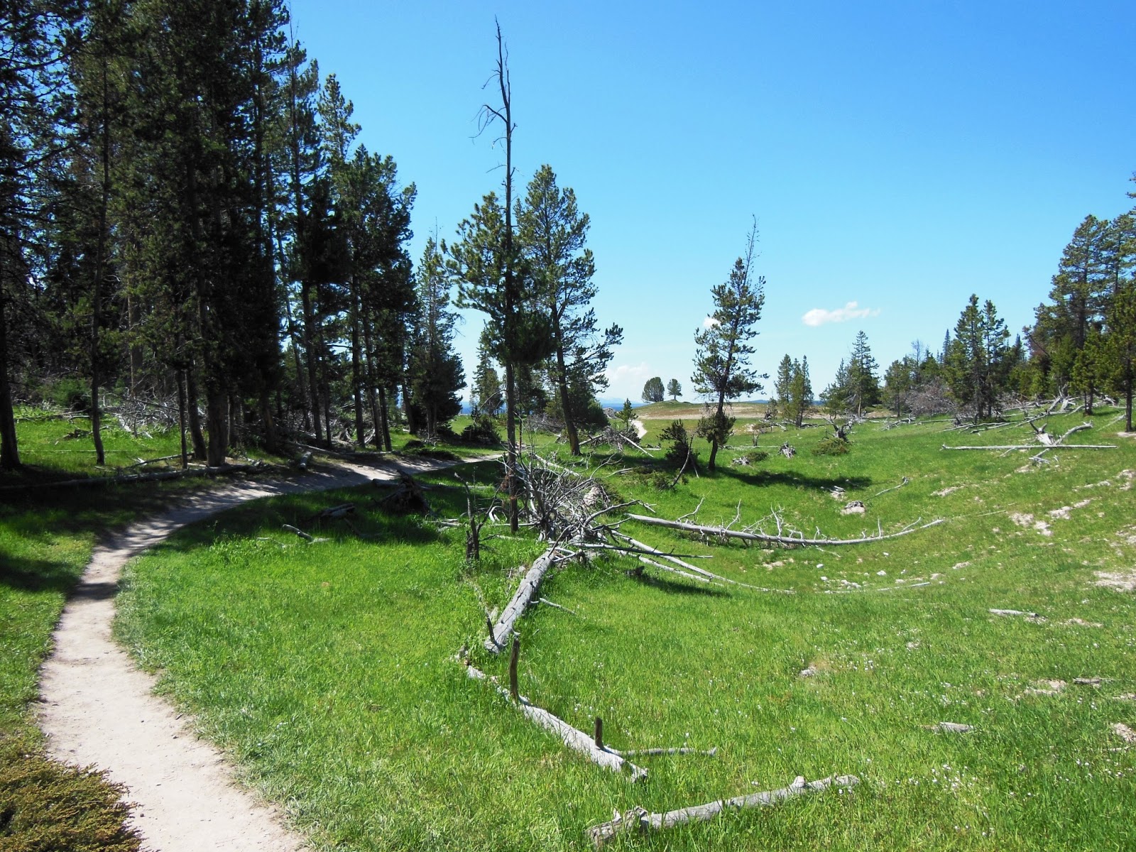 Storm Point Hike (Yellowstone National Park)