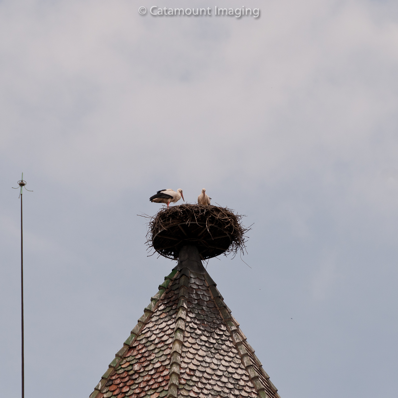 Catamount Imaging Colmar France