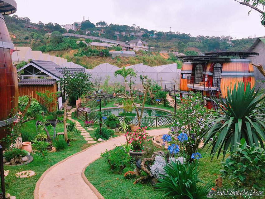 10 Homestay Đà Lạt có vườn farm: dâu tây, rau, hoa, hồng cho khách trải nghiệm