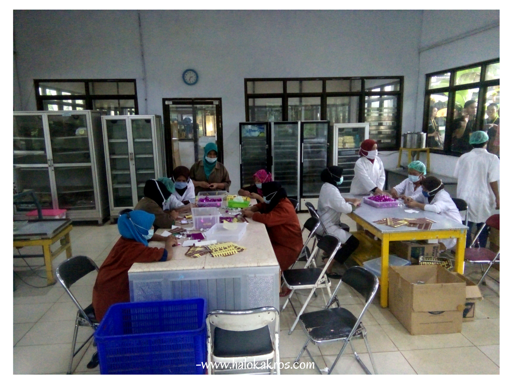 √Wisata Puslit Kopi Kakao Jember