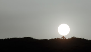 Solsticio de Invierno y comienzo de la Temporada de Avistajes de Ballenas