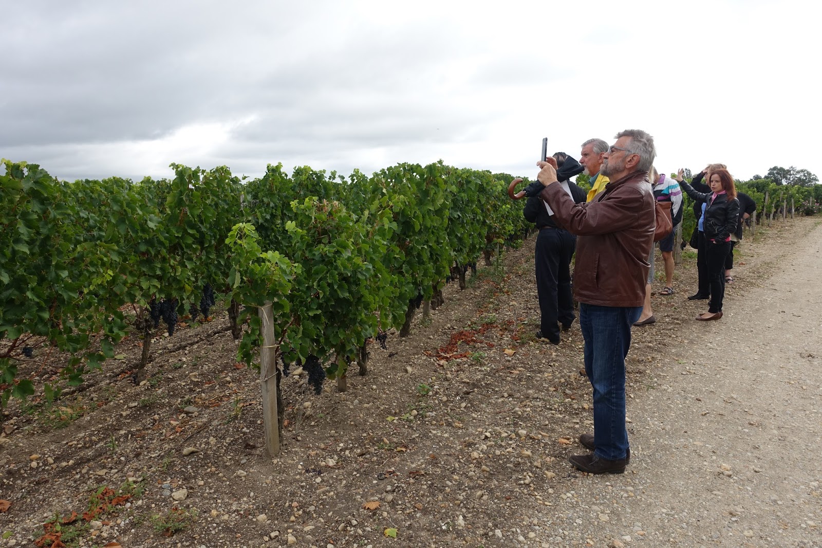 schillerwine Château Figeac Wine Dinner at The Henri in Washington DC