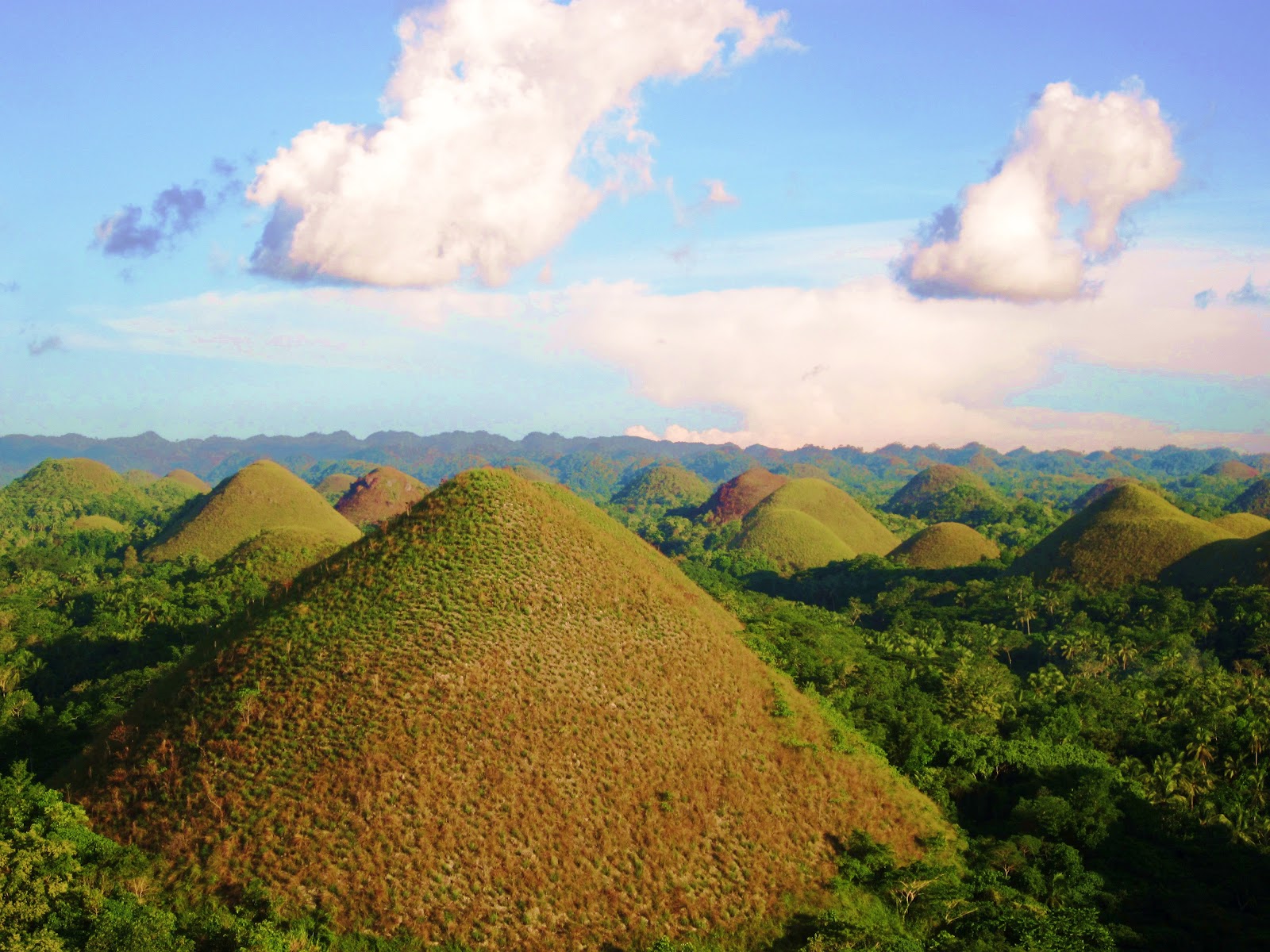 the traveller & her thoughts CHOCOLATE HILLS (Carmen)