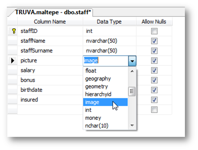 yazilimcilar dunyasi
