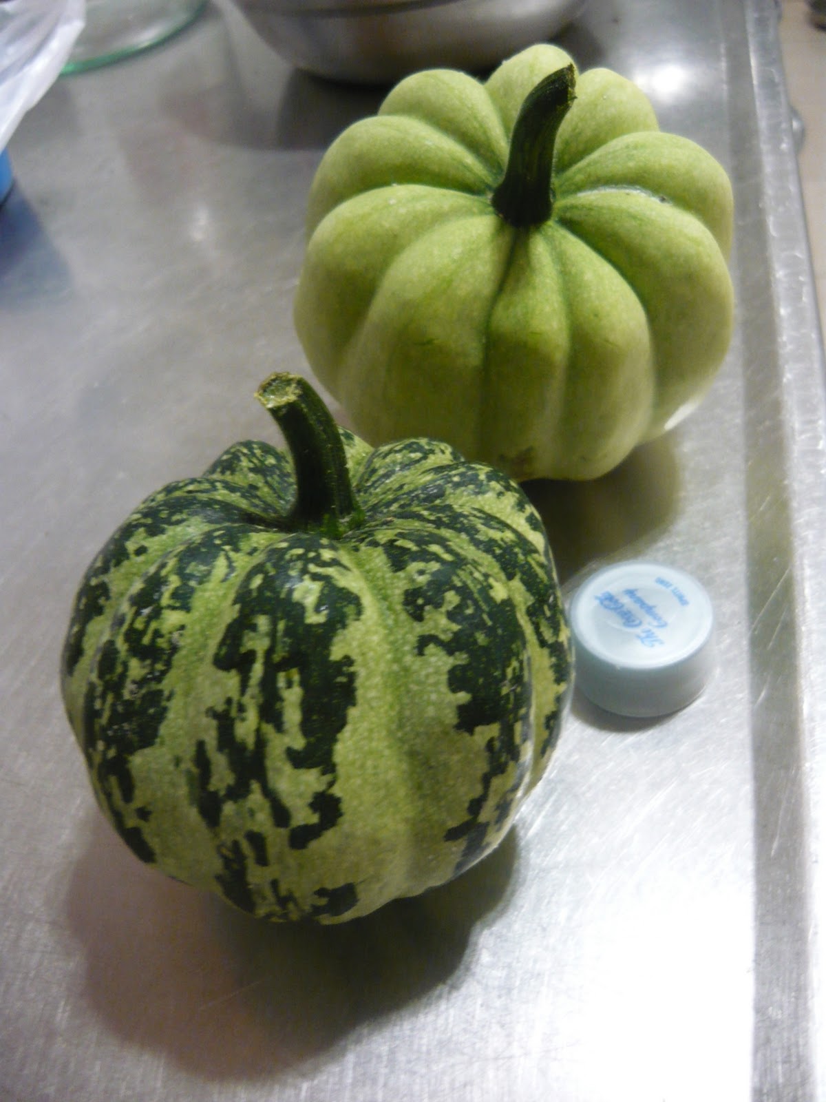 La Huerta paso a paso febrero 2012