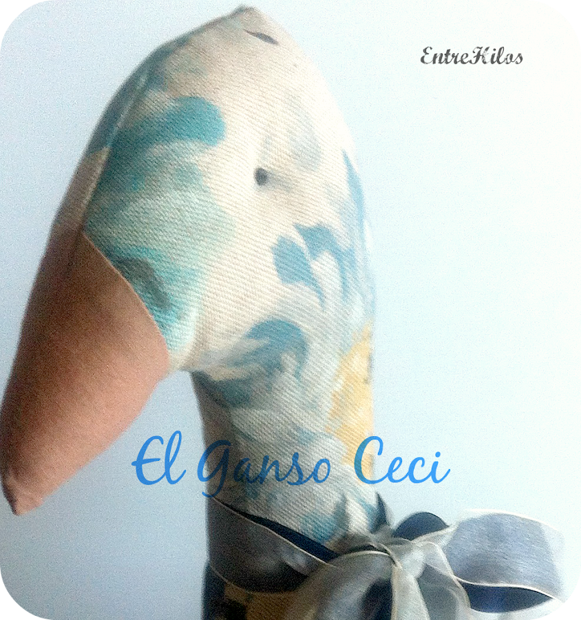 el ganso Ceci