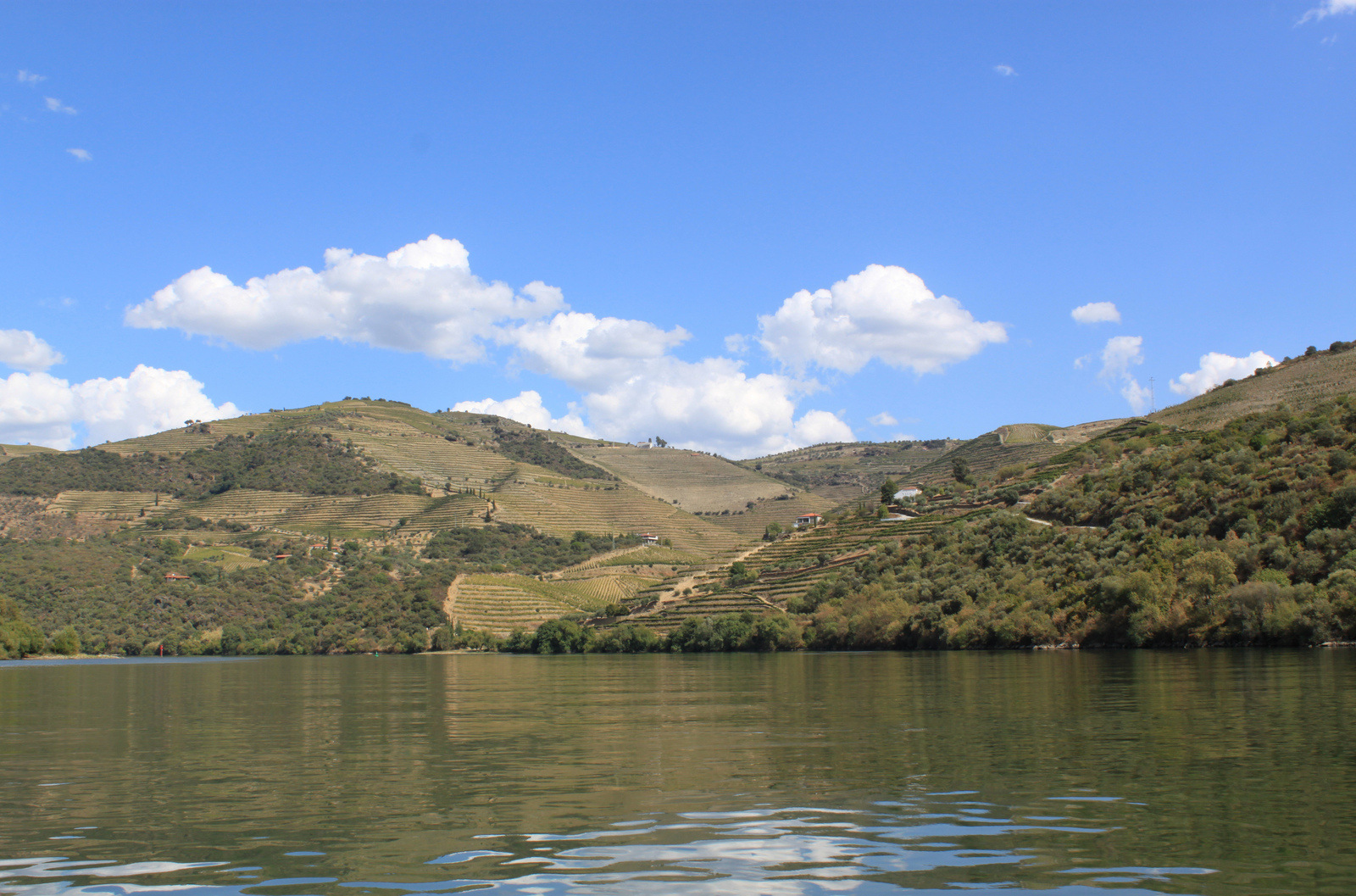 Croisière Magnifico Douro