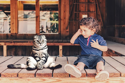 alt="gato y niño sentados en el porche"