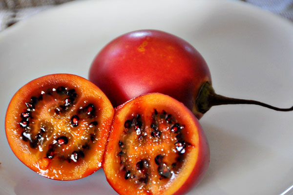 https://2.bp.blogspot.com/-g3eIZMXh5xQ/T_EeoeXDPRI/AAAAAAAAB-E/ZnK803qiZqE/s1600/red-tamarillo.jpg