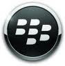 Blackberry Pin