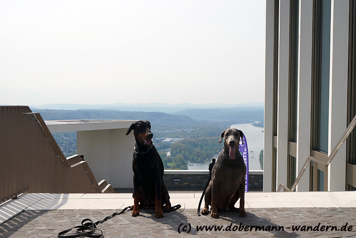 Https Www Schnecke Online De 15 Schnecke Ausgabe 98 Ansicht Pdf