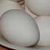 Are chicken eggs good or bad for cholesterol?