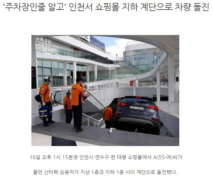 여사님의 활약상