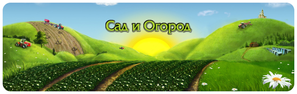 Cад и Огород