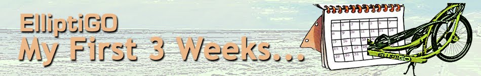 elliptigo