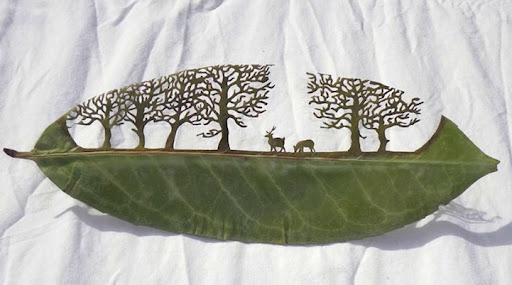 Incredible Leaf Art