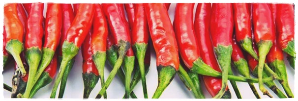 The Benefits of Chili for Health The Benefits of Chili for Health