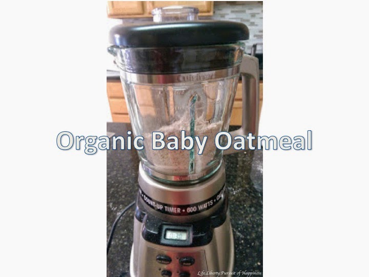 life-liberty-pursuit-of-happiness-organic-homemade-baby-oatmeal
